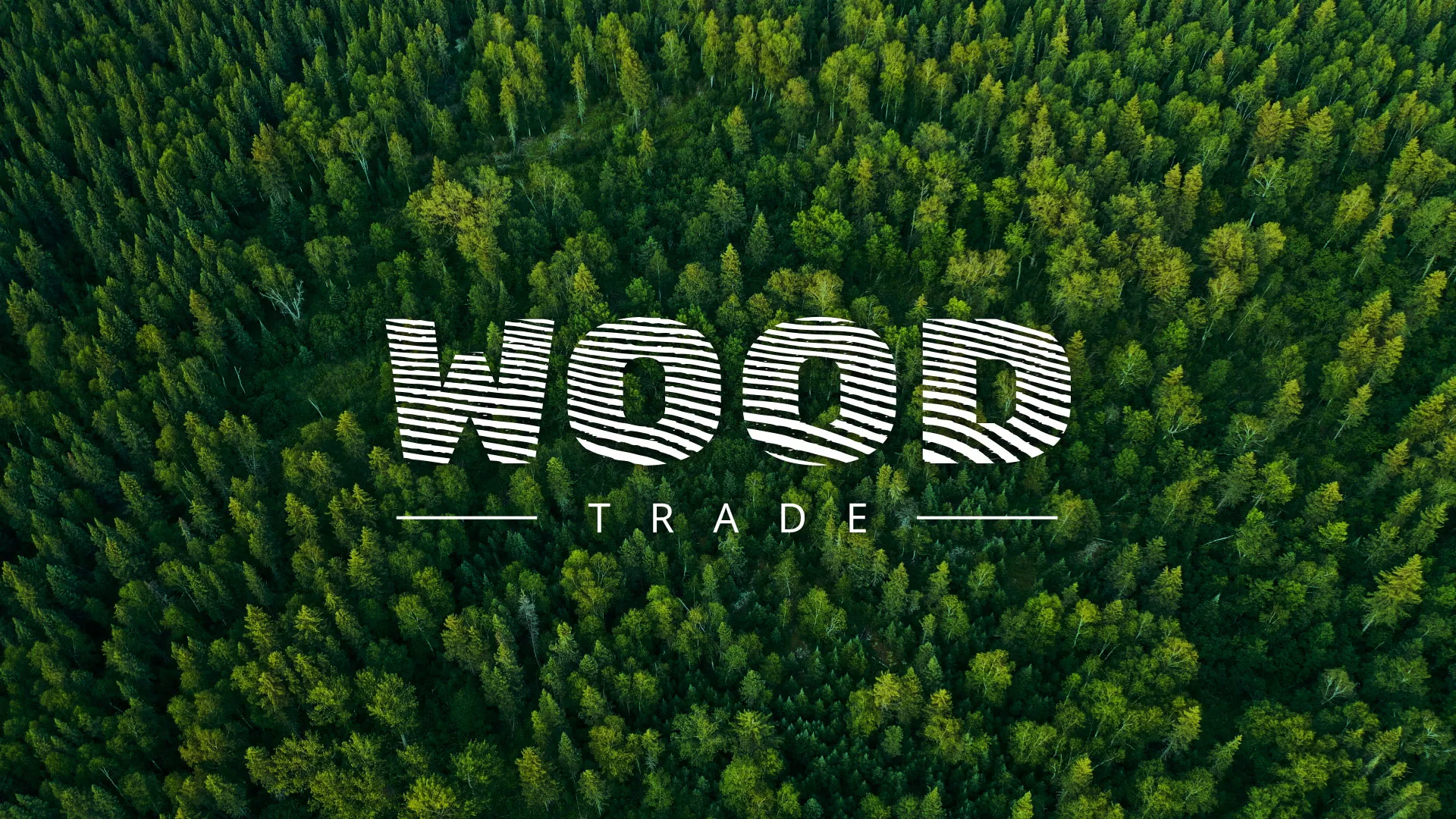 Разработка интернет-магазина компании «Wood Trade» в Беломорске
