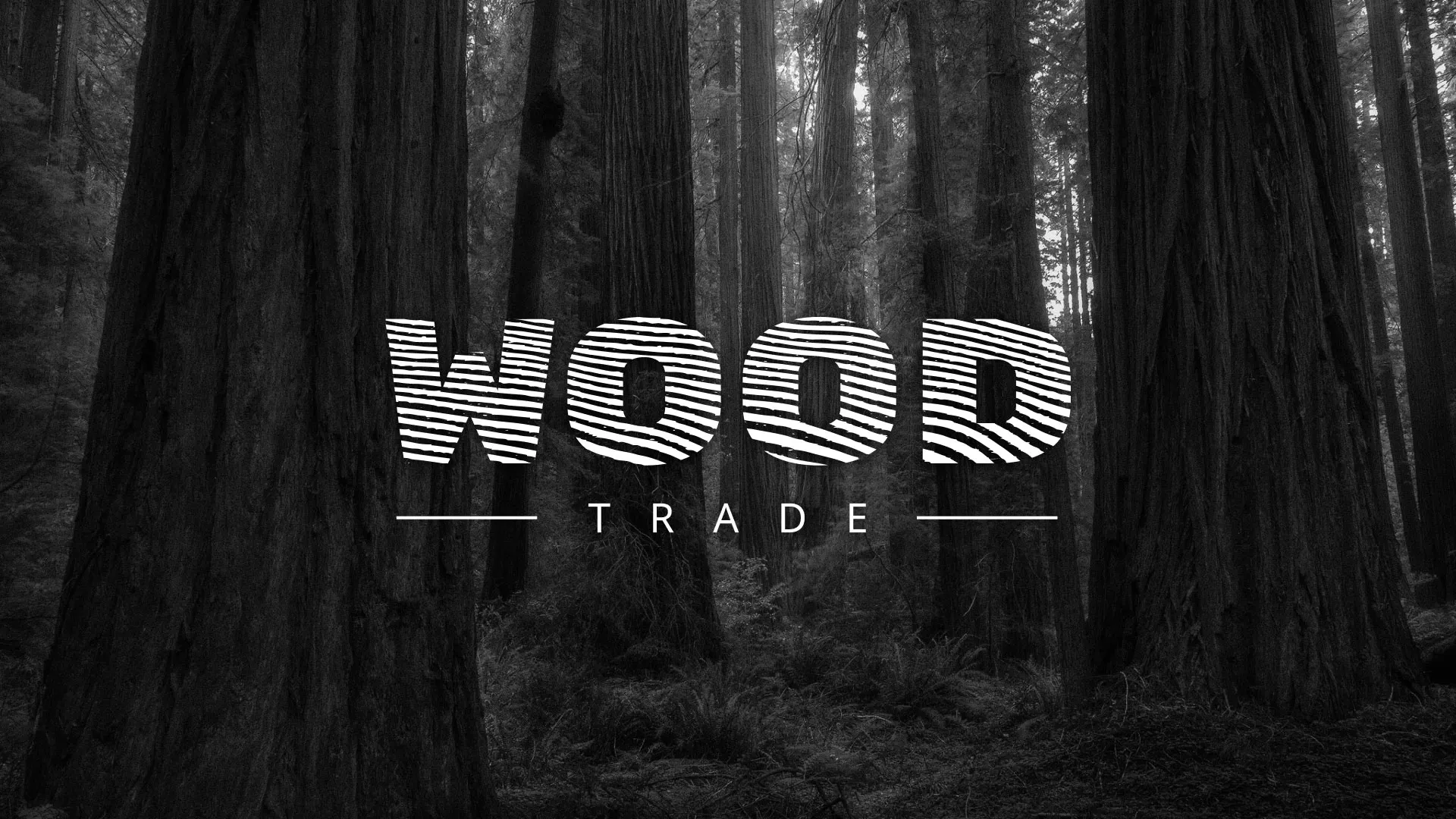 Разработка логотипа для компании «Wood Trade» в Беломорске